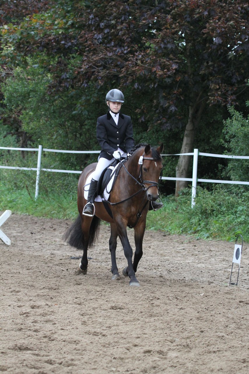 Bild 1127 - WBO-Turnier am 18.9.11
